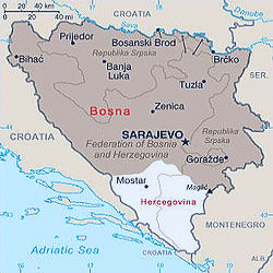 Bosnia (region) - Wikipedia